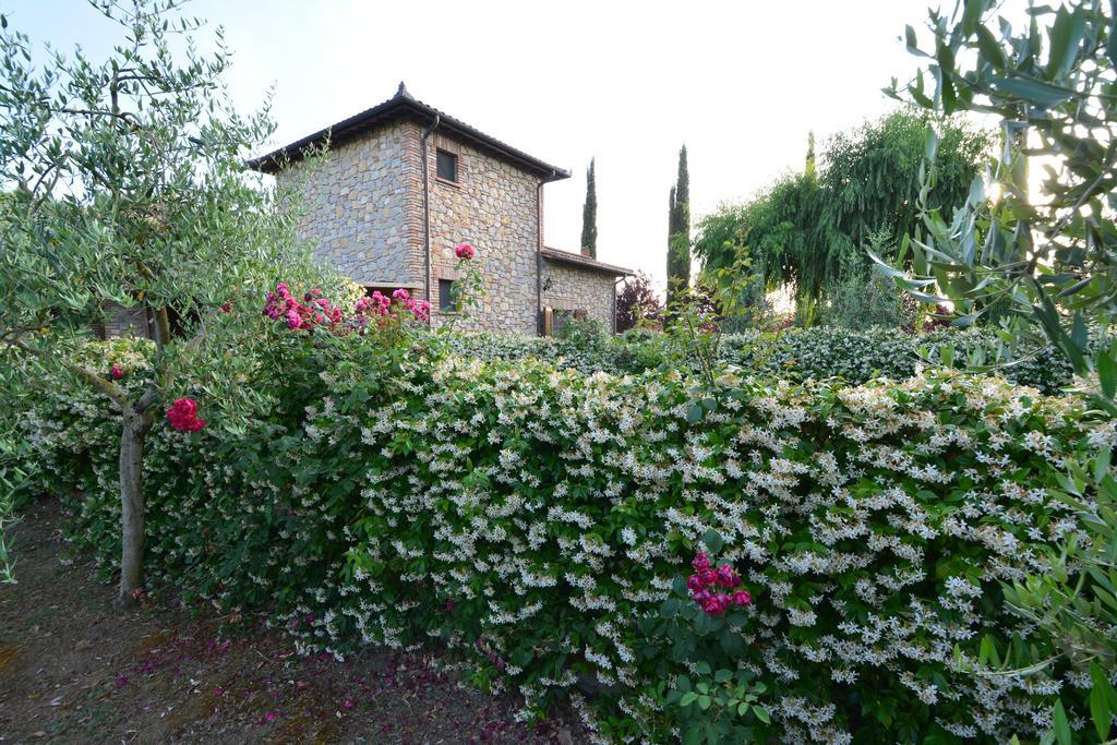 Agriturismo Dolce Verde Castiglione del Lago Buitenkant foto