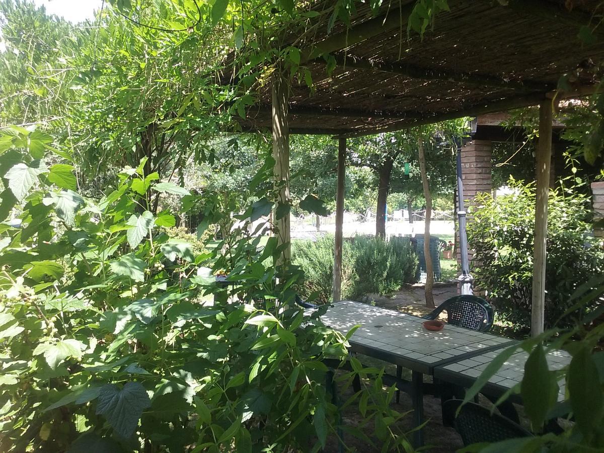 Agriturismo Dolce Verde Castiglione del Lago Buitenkant foto