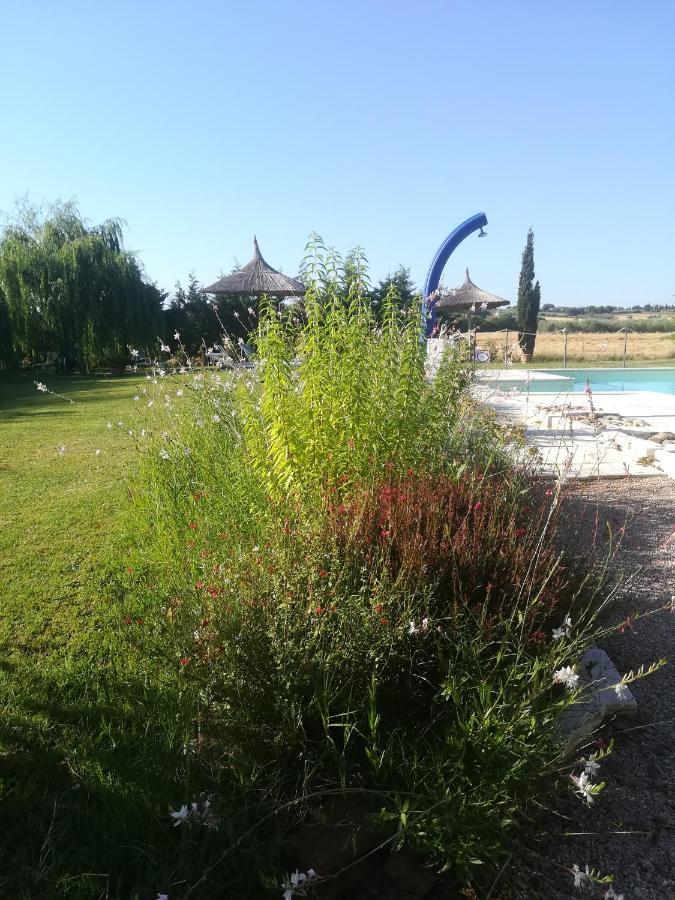 Agriturismo Dolce Verde Castiglione del Lago Buitenkant foto